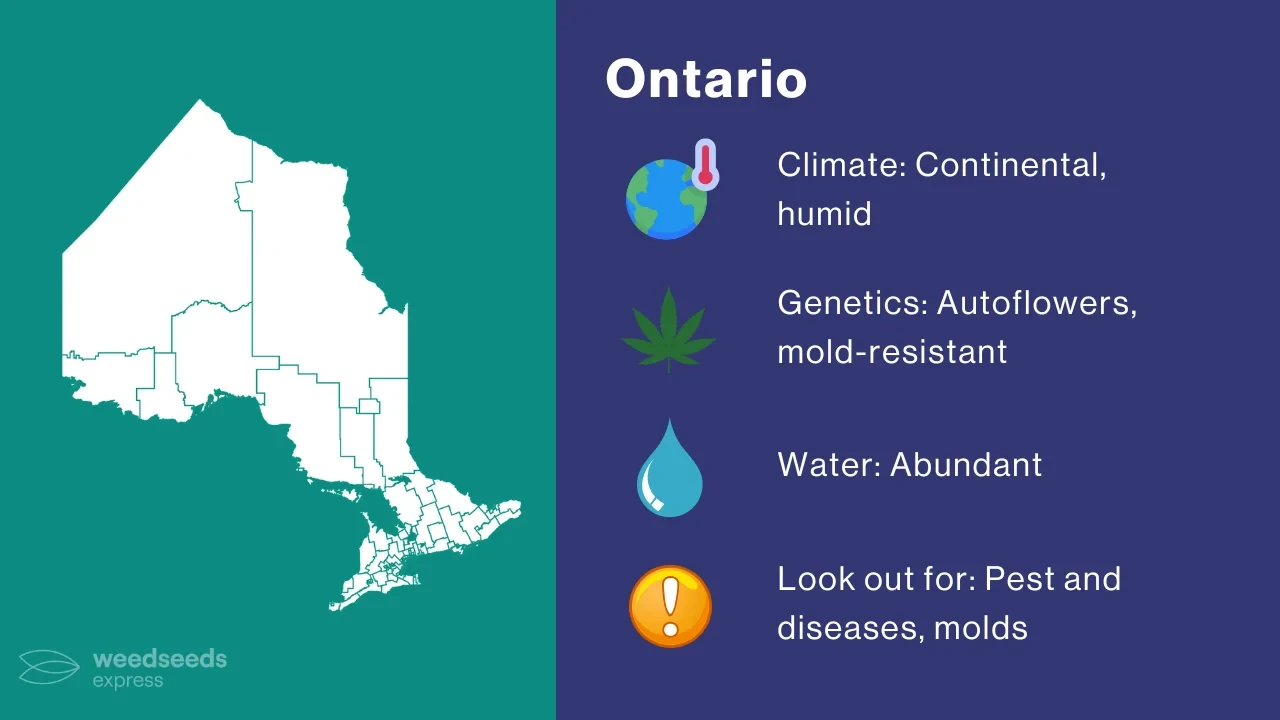 Cannabis Growing Climate in Ontario